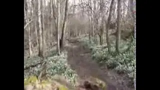 Весна на 