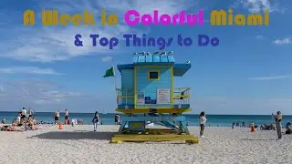 Top Things to Do in MIAMI - South Beach, Wynwood, Little Havana, Everglades & Fairchild Gardens