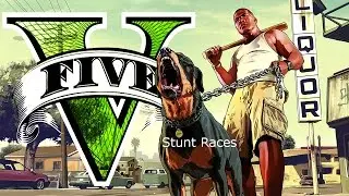 Grand theft auto V Online with S3nsFan4Ever316 : Stunt Race Fun