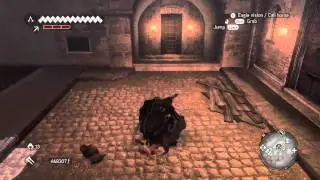 AC Brotherhood: Assassin Ceremony