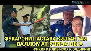 ФУКАРОНИ ПАСТАВА КИЛГАН ГАИ ХАКОРАТ КИЛДИ