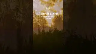 Притчи 31:6-9 современный перевод Библии #shorts