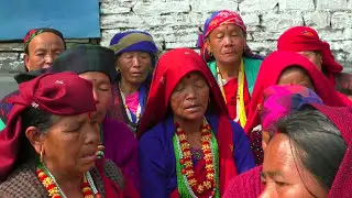 यानिमाया  भाका पर्बत लेस्पार गाउँ | Yanimaya | Typical song |