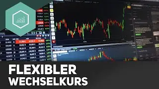 Flexibler Wechselkurs - einfach erklärt
