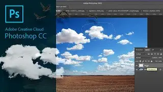 Create A Set of Dynamic Brushes in Photoshop and Export