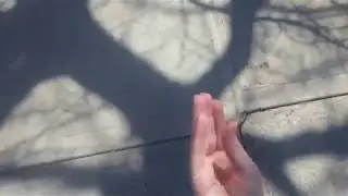It's a beautiful day outside...