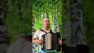 #Гармонь#Продажа
