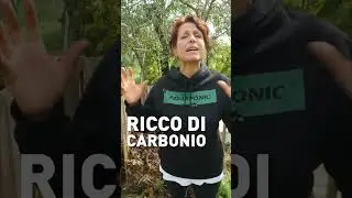 Conosci le 3 fasi del compost? 