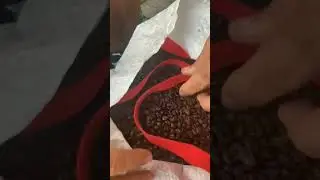 Probajte najbolji kavu na svijetu