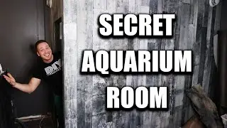 SECRET AQUARIUM ROOM - The king DIY fish tank QT room
