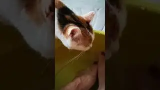 ‎VID 20230919 190815