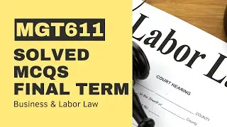MGT611 Final Term Past Paper[Solved MCQs]