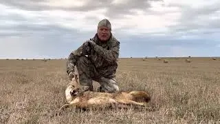 Coyote Hunting