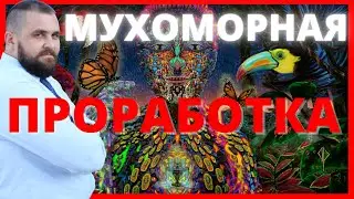 Как убрать неуверенность под мухомором| Как избавиться от обиды