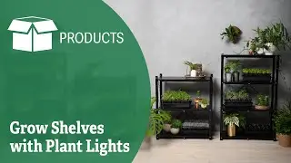 Grow Shelves with Plant Lights