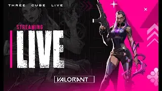 BIRTHDAY STREAM