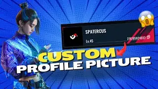 How to Change To A CUSTOM PROFILE PICTURE in Blood Strike