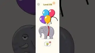 Dop 4 level 173