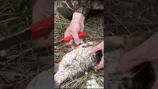 Каждому рыбаку нужен такой нож
