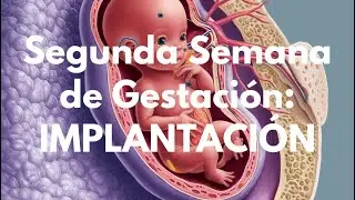 Embriología: Clase de implantación PARTE 2