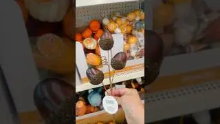 New Fall Picks at Dollar Tree  #dollartree #shortsvideo #shorts #falldecor