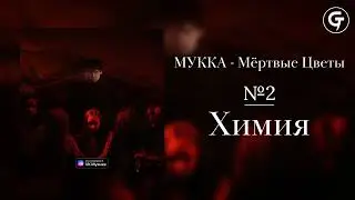 МУККА - Химия (текст в описании)