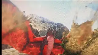 Ark blood crystal wyvern solo taming/showcase