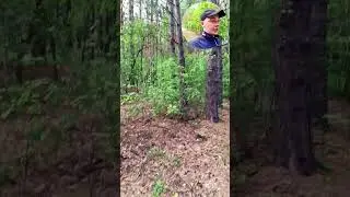 Лучанку держат в лесу и не дают стримить... Не видать ему S ранга.