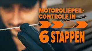 Hoe je het oliepeil van je auto kunt controleren | AUTODOC