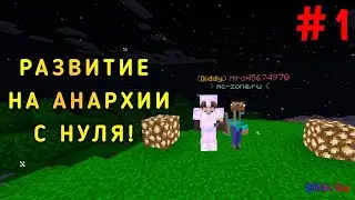 ВАЖИВАНИЕ на АНАРХИИ с НУЛЯ на СЕРВЕРЕ Mc Zone ▶ Minecraft #1