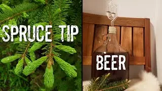 Spruce Tip Beer