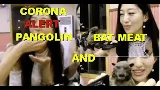 Top 10 Weird and Bizarre Chinese Foods ,Pangolin and bat meat :Covid19 hosts!!!