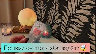 Почему он так себя ведёт? 🤯