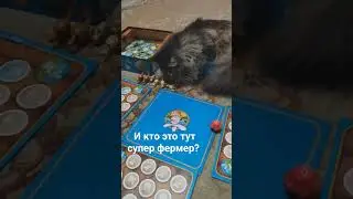 and who is this super farmer here? #рекомендации #шортс #кот #собака #тикток #shorts #cat #dog #TikT
