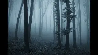 Scary Stories | True Scary Horror Stories | Reddit Let's Not Meet And Others