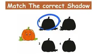 Match The Correct Shadow | Animal Edition | Easy & Hard Levels | #find #game #matchtheshadow  #quiz