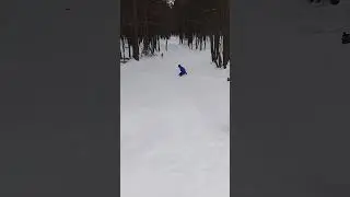 Рыжая собака промчалась