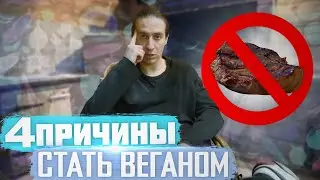 4 причины, почему я не ем мясо и молочку. B12, B6 и вот это вот всё
