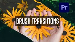 Free Brush Matte Transitions for Adobe Premiere Pro.