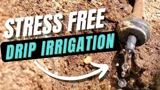 5 Tips for STRESS-FREE Drip Irrigation for Home Vegetable Gardening