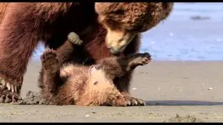 Bears - "Carry On" Intl'30