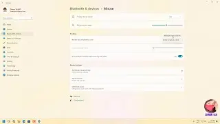 Change Mouse Scroll Setting on Windows 11 | How to Fix Mouse Scroll & Speed Issues In Windows PC