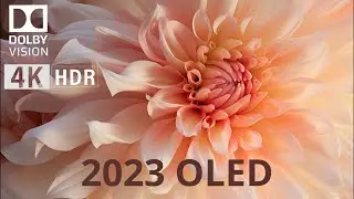 Oled Demo 2023 | HEAVEN ON EARTH | 4K HDR 60fps Dolby Vision.