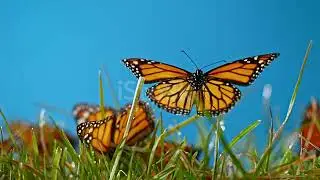 istockphoto 993253088 640 adpp is