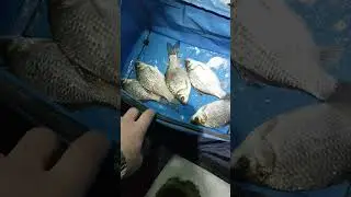 9 марта, оз Салтаим#shorts
