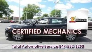 31 SCHAUMBURG, IL HYUNDAI REPAIR OIL CHANGE  1824P 2014 Kia Cadenza