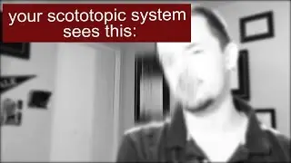 scotopic and photocopic vision (and how we see at night) - ok science