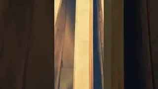 дуб, свежеприехавший.