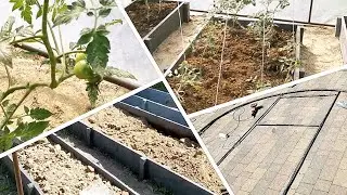 Теплиця своїми руками | Високі грядки