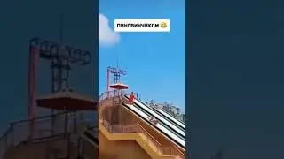 Матёрый пигвинчиком😂😂😂